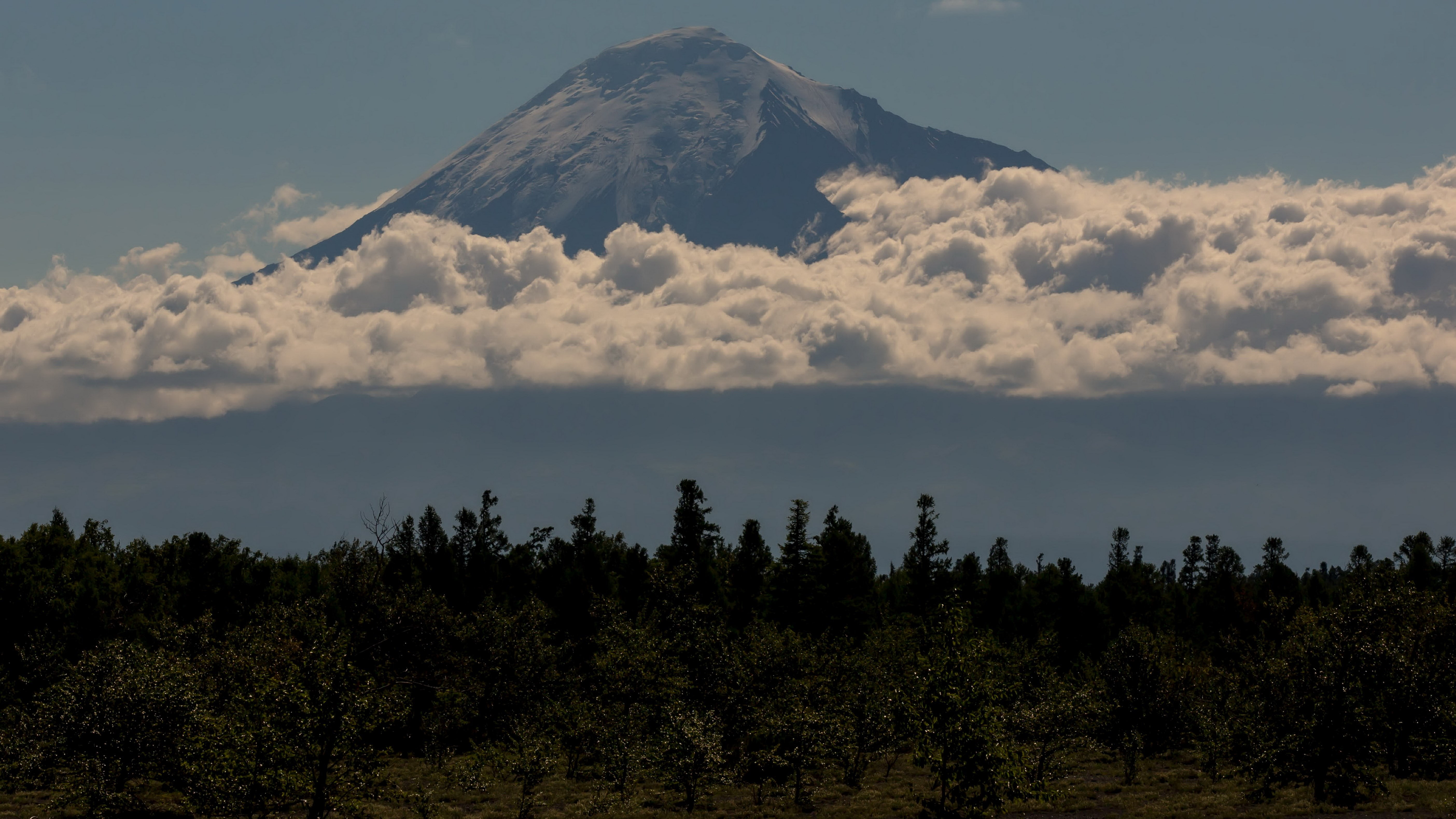 kamchatka volcano, tree, sky, plant, cloud - sky, beauty in nature