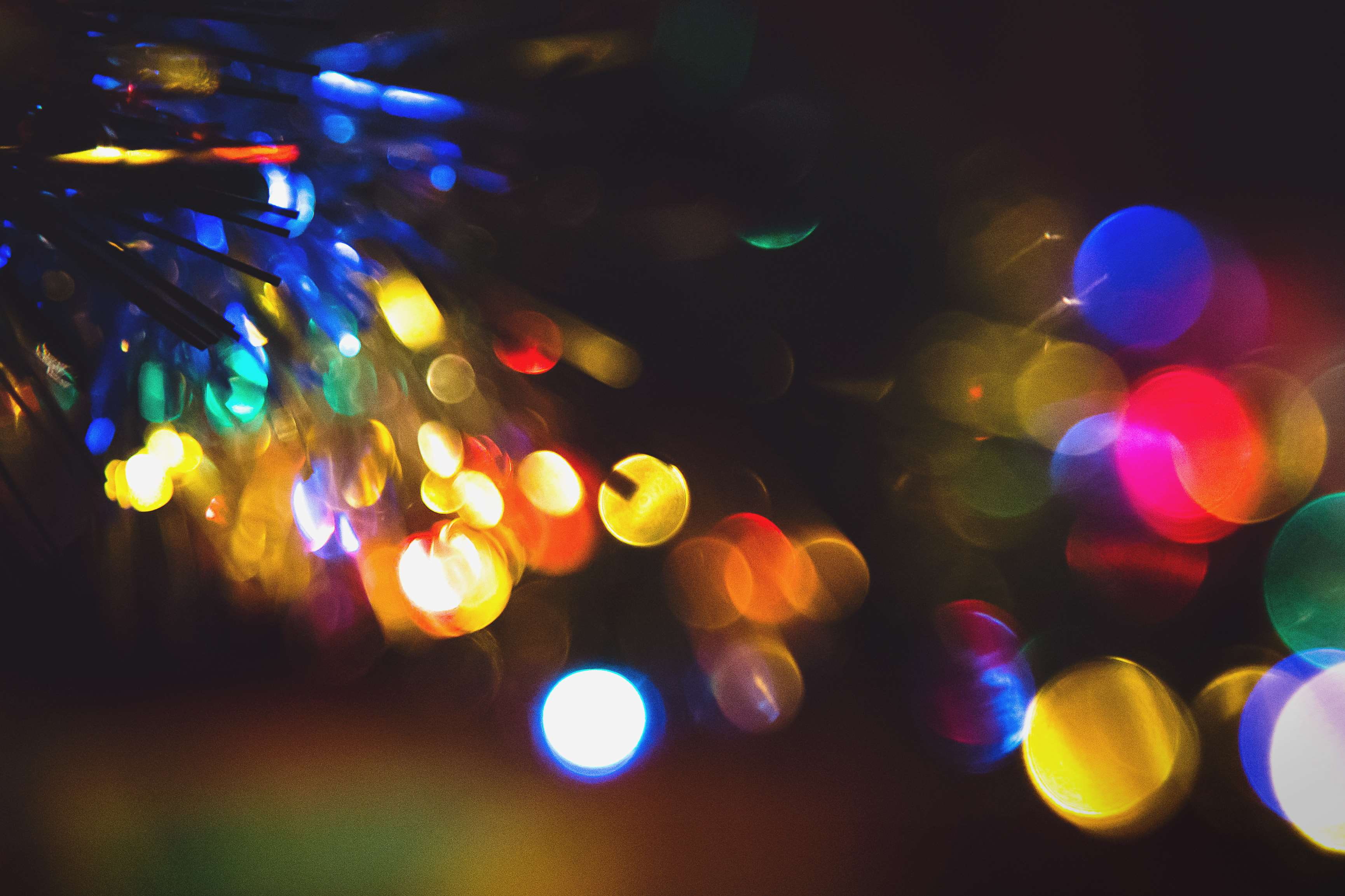 blur, bokeh, christmas, color, focus, light, macro, tree, zoom