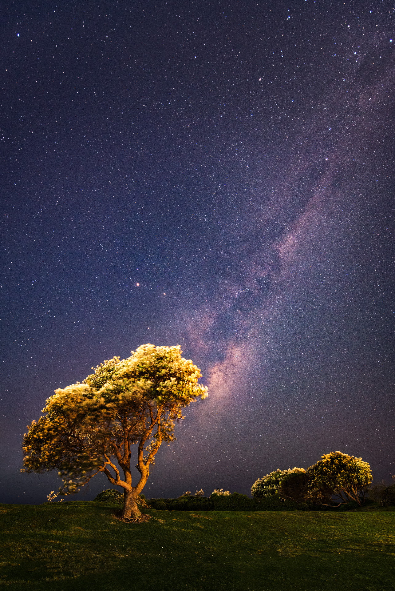 Australia, Sydney, Milky Way, stars, vertical, star - space