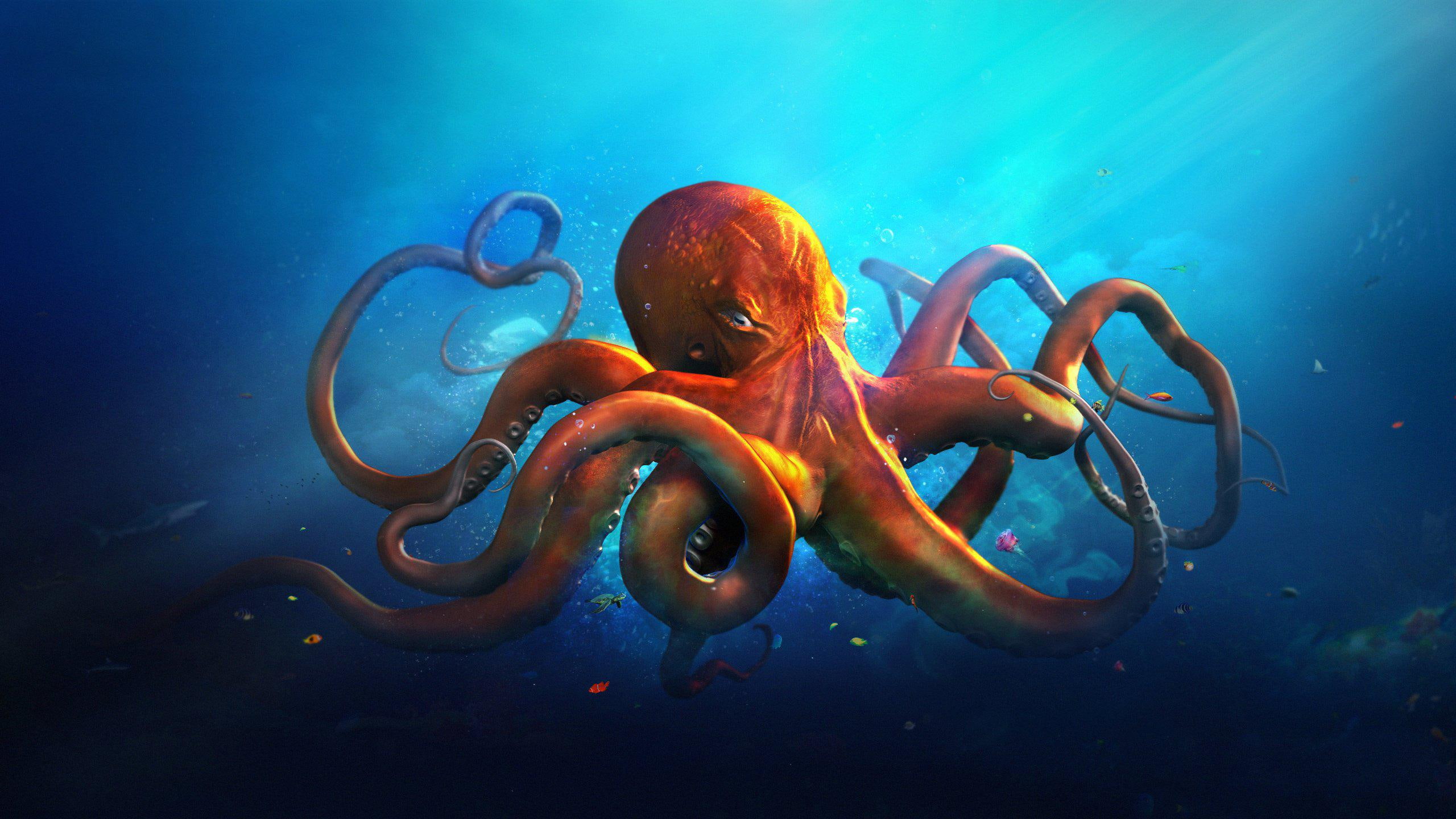 Underwater World Animals Octopus Ocean Sea Fantasy Artwork Art HD 1080p, orange octopus illustration