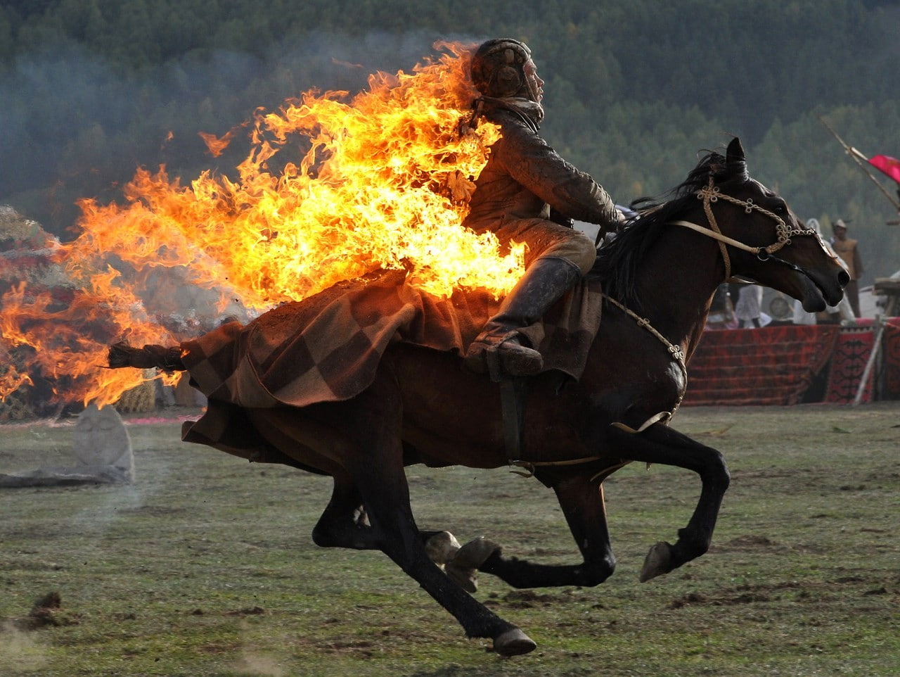 fire, horse, burning