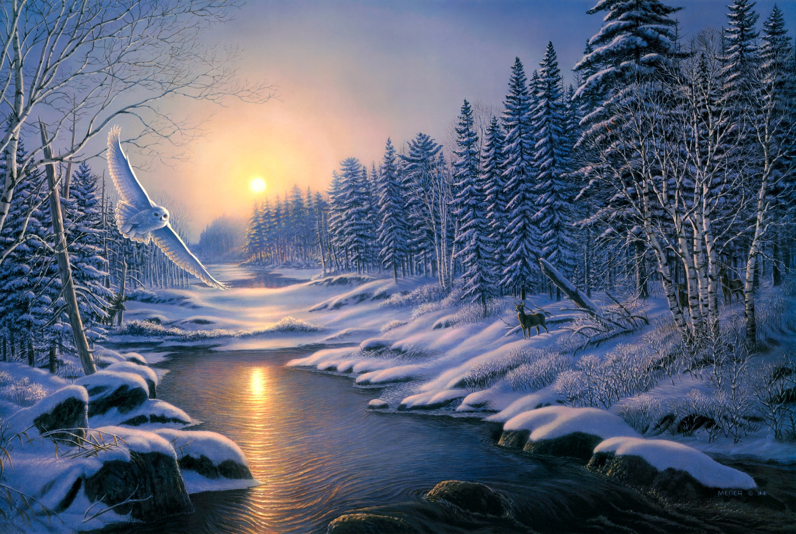 trees and body of water, winter, forest, animals, snow, sunset