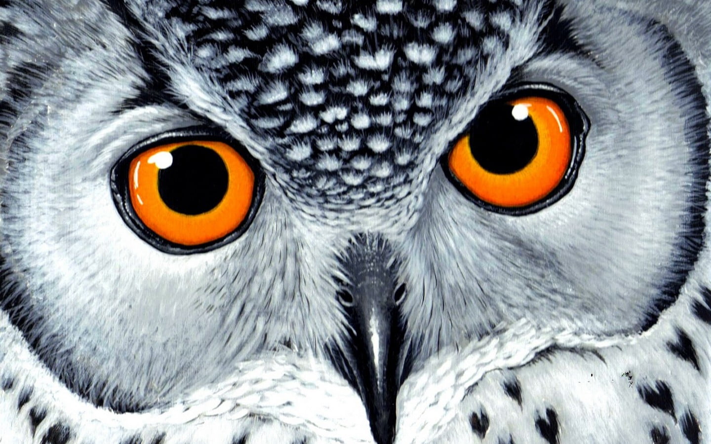 white and black owl, animals, birds, drawing, yellow eyes, orange
