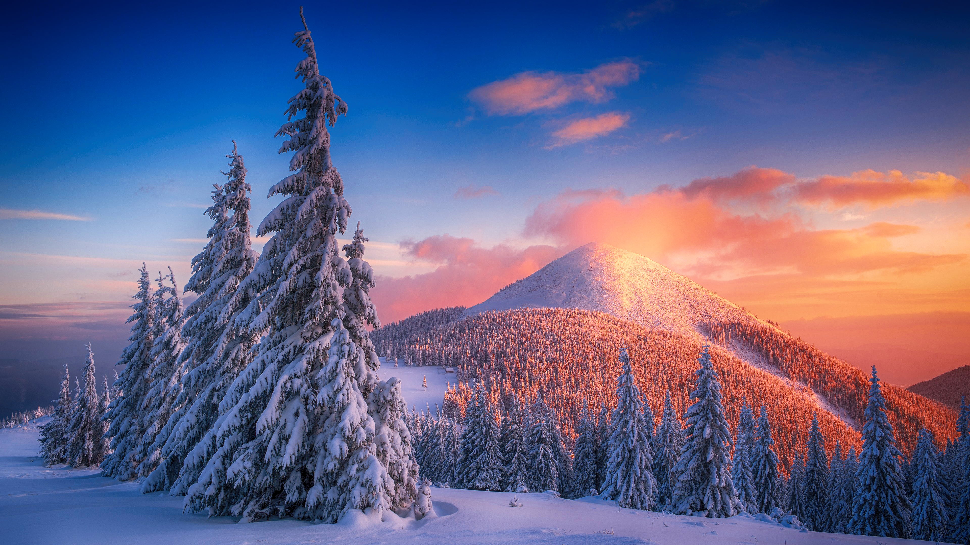 snow, winter, mountains, sunset, cold, landscape, forest