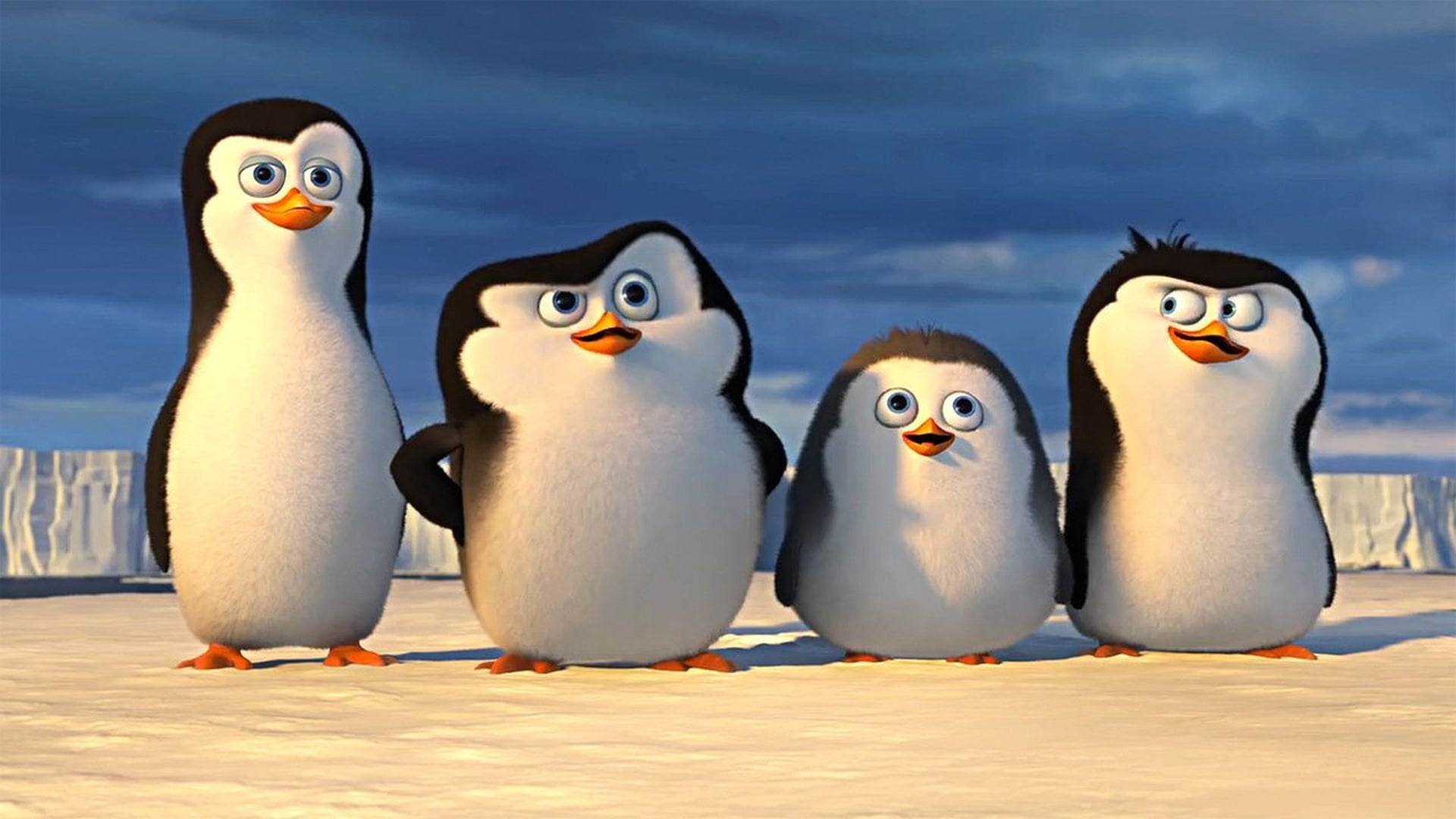 Movie, Penguins of Madagascar, animal, animal themes, group of animals